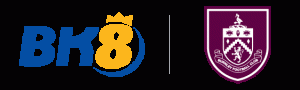 logo bk8